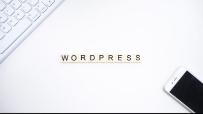 How TMC Typing Safely Manages WordPress Websites